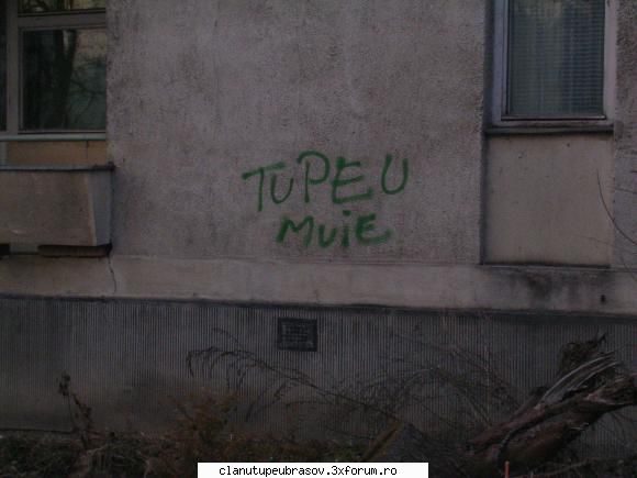 tupeu crew tagging, writing... [graffiti] victoriei, partea dreapta cum mergi spre gara....